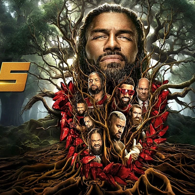  [2.EL] WWE 2K25 - PS4 Oyun