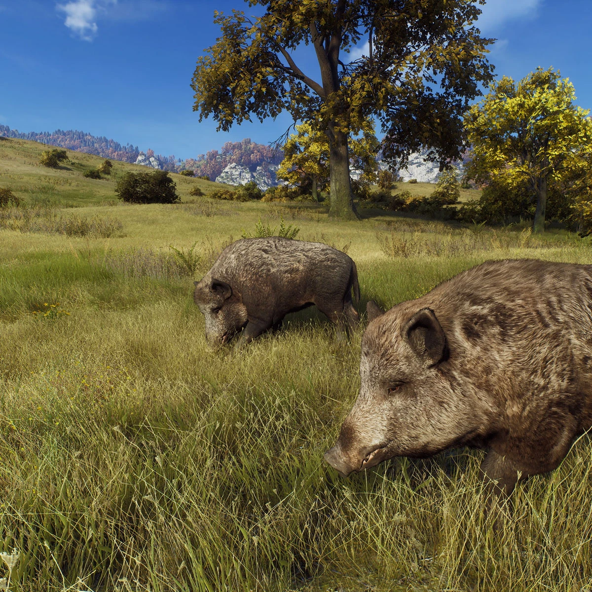 Way of The Hunter - Ps5 Oyun [SIFIR]