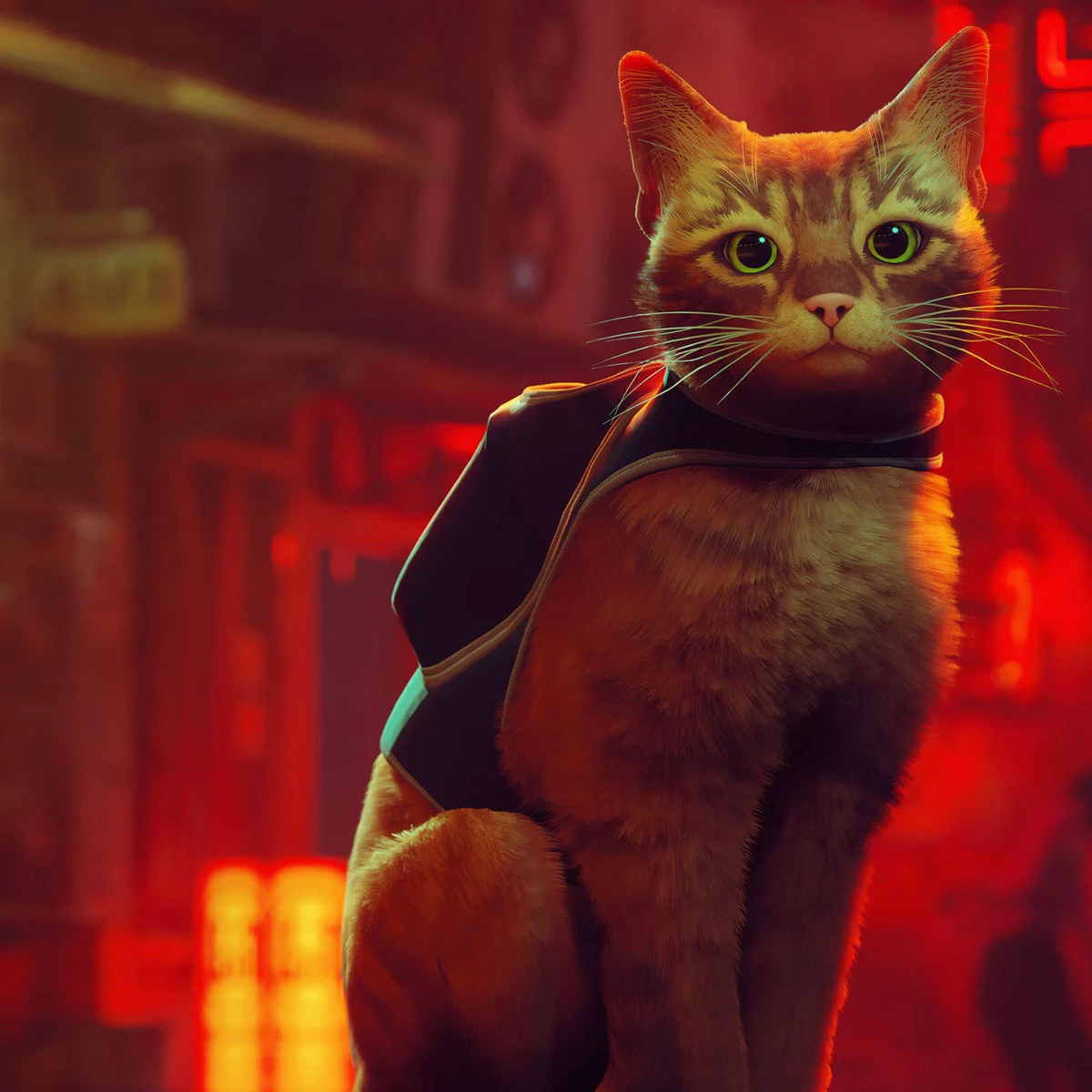 Stray - Ps5 Oyun [SIFIR]